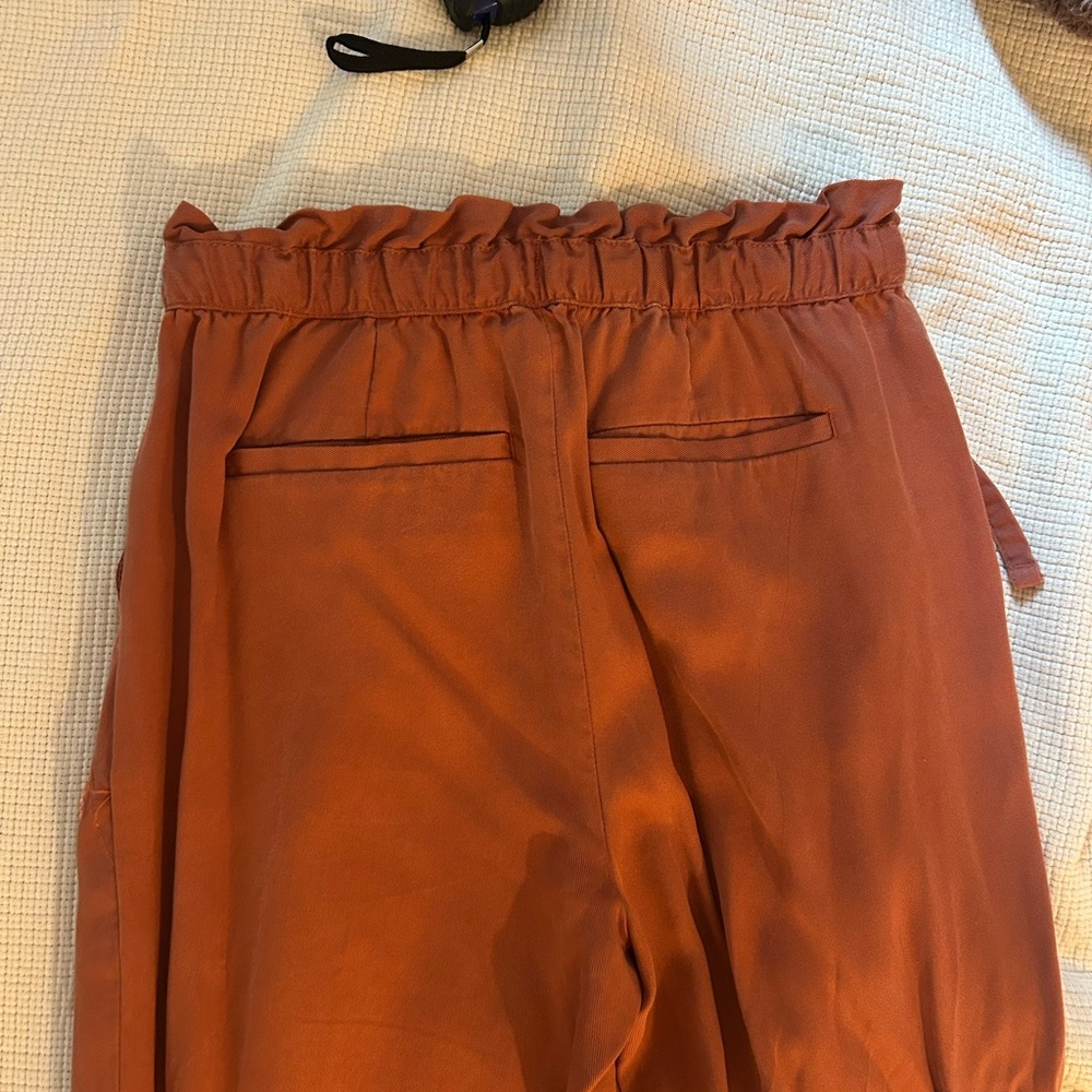 Banana Republic Rust Drawstring Pants - Picture 9 of 9